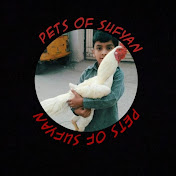 pets of sufyan