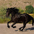 Otizo_K_xW4-channel-avatar-Arcola Ranch