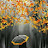 @زهرهالقصر-ق5ه