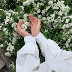 عالم أم التوأمの画像