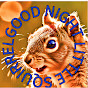 Good Night Little Squirrel logo