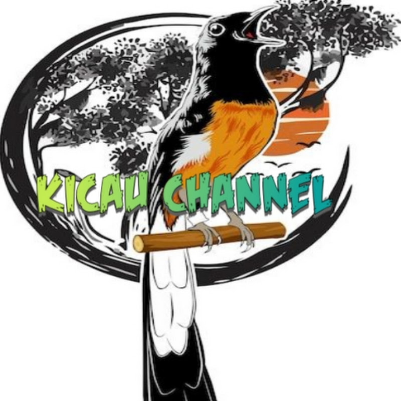 Hire KICAU CHANNEL  — Bird Keeping & Avian Care YouTube creator for sponsorships