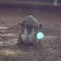 kWkEbCCQXk0-channel-avatar-移世界生活　転入者　始まりの市　安曇野　スローライフ