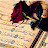 @Omsaif-nl3xc