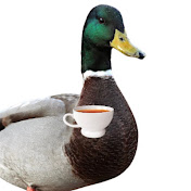 Sir duck
