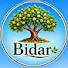 Y1cYHrAOWJ4-channel-avatar-Bidar