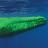 Green Whale