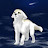 @cassecouyaniss5055 Avatar