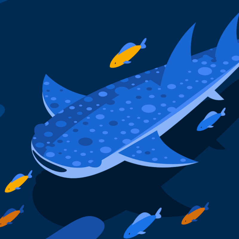 SleepyShark