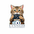 mO1fB0IBVEE-channel-avatar-Lynness Real Estate Photography AZ