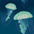 @ARAK123-s7s