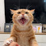 D-h_OhokiuY-channel-avatar-Funnion World