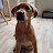 Avatar de @Lottiethelab-q4f