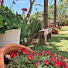 M2GW1pjZwEA-channel-avatar-Casinha Florir  - Quintal da Lê 