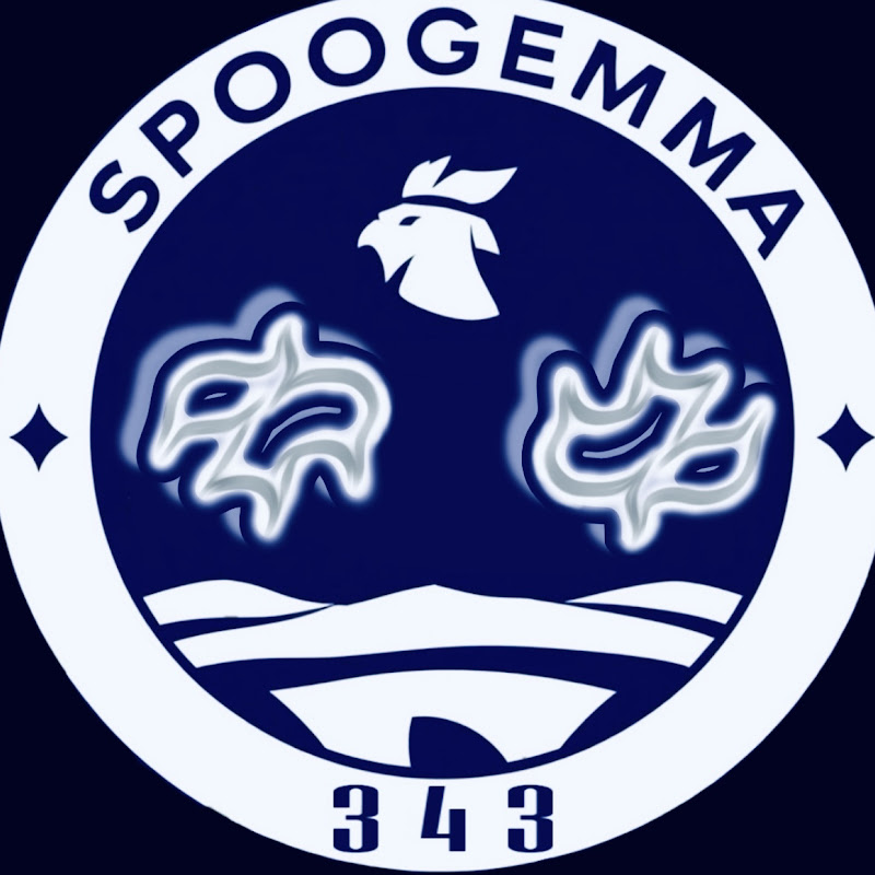 SPOOGE MMA