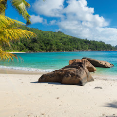 Via Carioca net worth