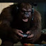 CFqsljthprk-channel-avatar-Funniest Bigfoot Vlog Compilation 