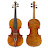 @violin_TV