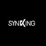 CStSSKoI91Q-channel-avatar-SYNKING