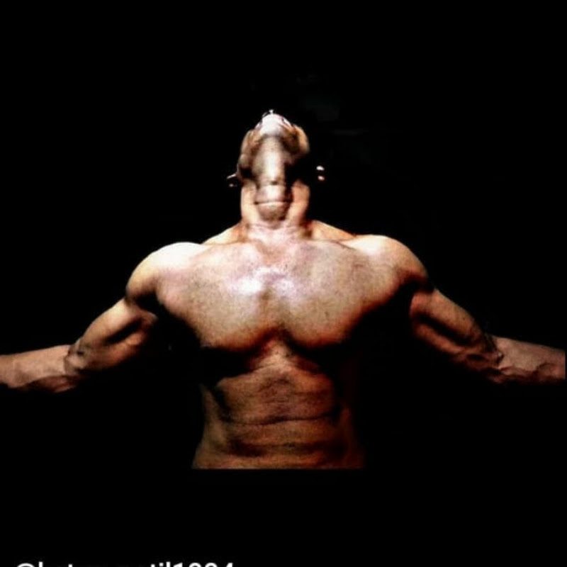 Ketan Rajput 