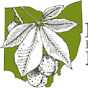 Buckeye Environmental Network logo