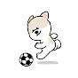 축구왕 권돌발