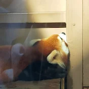 つき