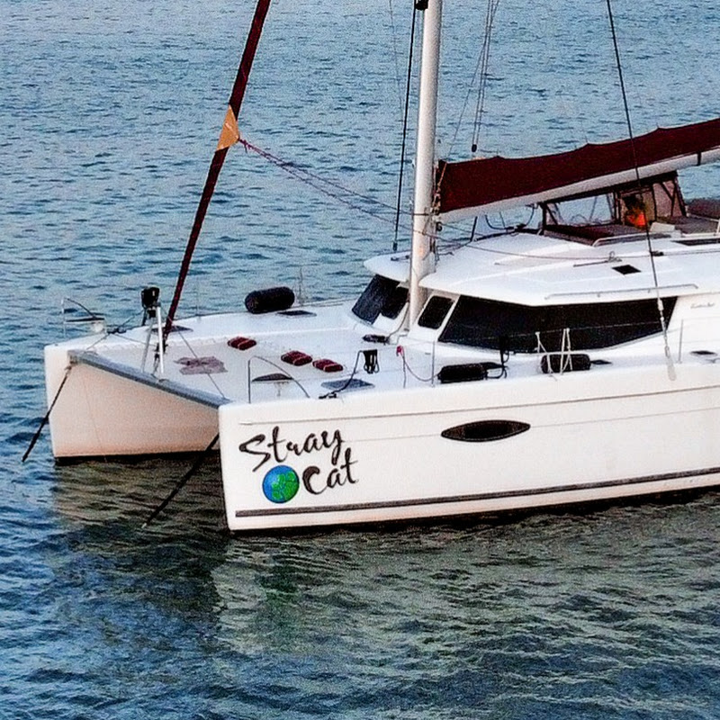 sailingstraycat2575