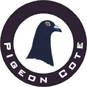 Pigeon Cote