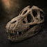 pDlnU47TFnw-channel-avatar-Bestiario Real