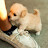 @LoveJK-f5q