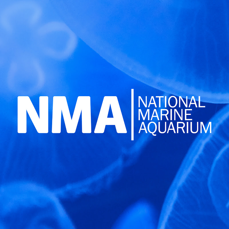 National Marine Aquarium