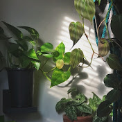 Easy Gardening for beginners