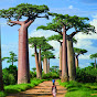 The BAOBAB NET logo
