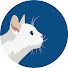 nyFslYOHxHU-channel-avatar-Kedi Channel