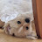 @hooraykorea