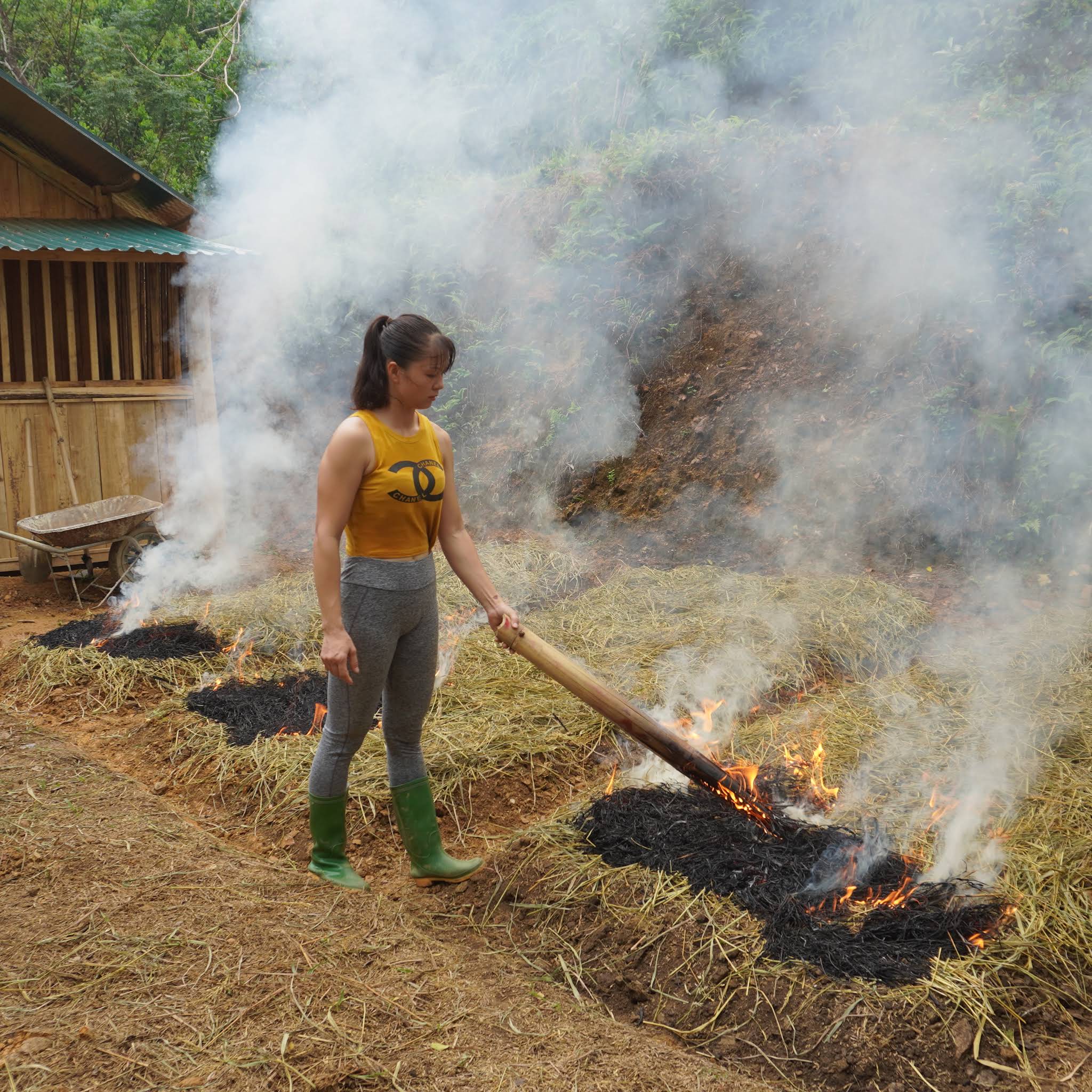 Post from Phương - Free Bushcraft