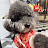 youtube avatar