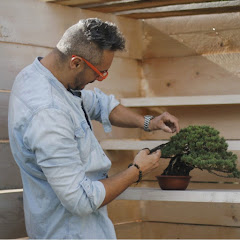 Fortuna Bonsai School