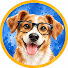 1PIbD4S-eBc-channel-avatar-DOGMAX