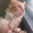 @Chessy6e5