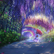 ZenAmbience