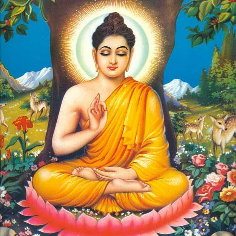 Shakyamuni Biography of Buddha · Proclamation