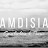 Amdisia