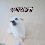 모찌mochi