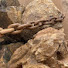 C9raST61qPQ-channel-avatar-Big rock’s crushing 