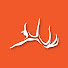 v1ogn4sICaI-channel-avatar-Hushin