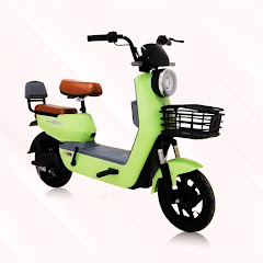 Sepeda Listrik Real