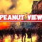 Peanut View logo