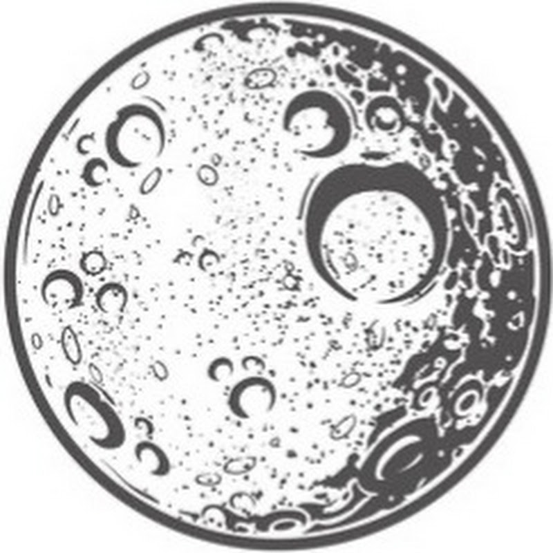 Brushstroke Artichoke